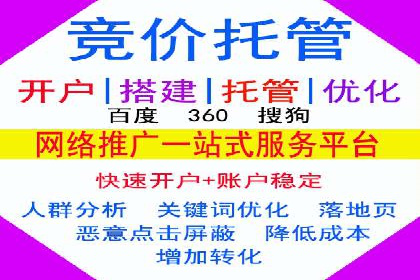 SEM托管代运营案例：打造高效营销体系